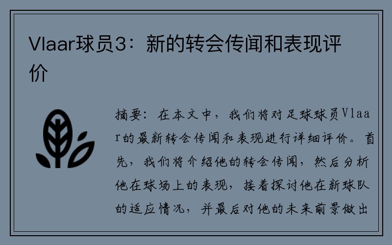 Vlaar球员3：新的转会传闻和表现评价