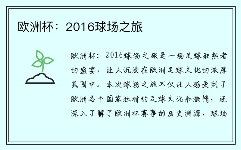 欧洲杯：2016球场之旅
